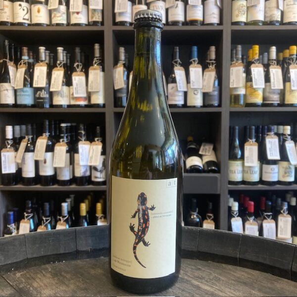 ワイン Salamander Reserve Chardonnay 2021 750ml ワイン Salamander Reserve Chardonnay 2021 750ml ワイン Salamander
