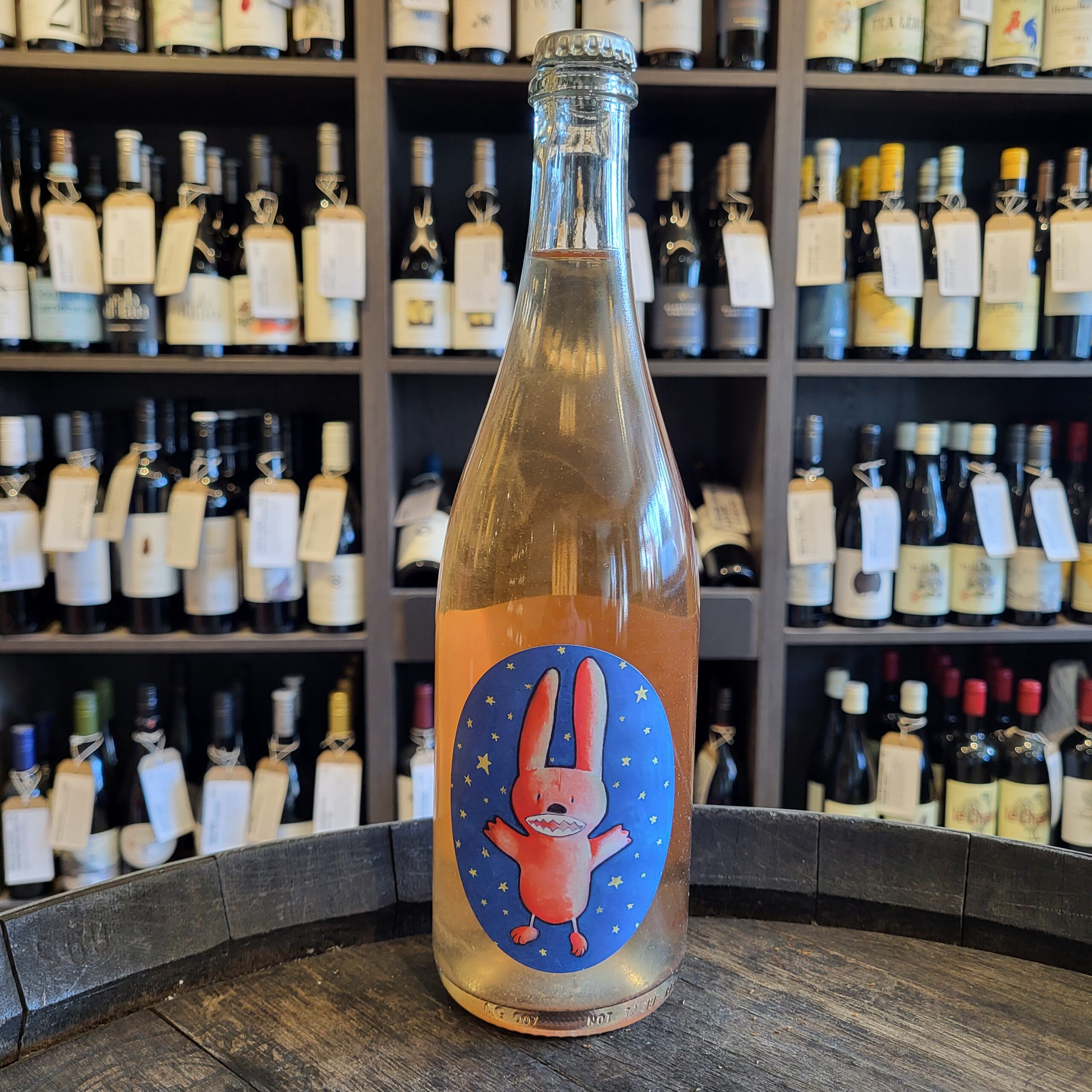 Astro Bunny Pet-Nat 2022