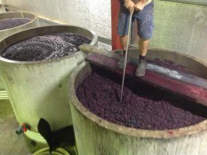 Hands on winemaking