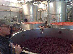Pumping over of the Pinot